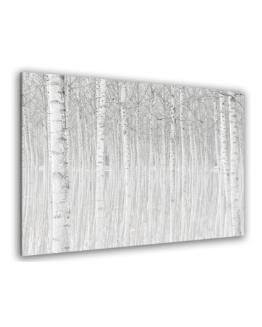 Tableau nature perspective trees toile imprimée 50x30cm