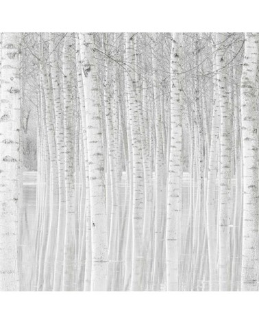 Tableau nature perspective trees toile imprimée 50x30cm