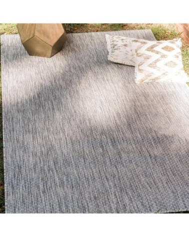 Tapis intérieur/extérieur gris 120x160