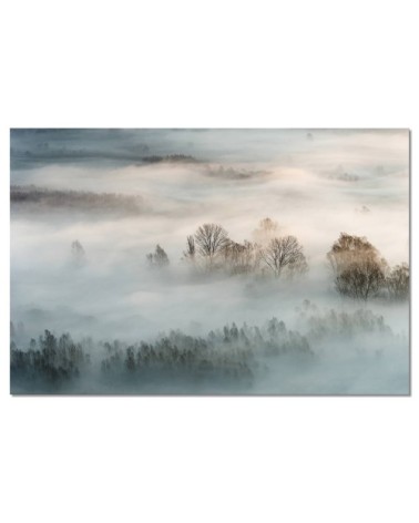 Tableau alu dibond brouillard hivernal 120x80cm
