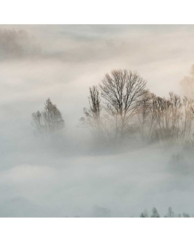 Tableau alu dibond brouillard hivernal 120x80cm
