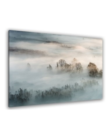 Tableau brouillard hivernal toile imprimée 50x30cm