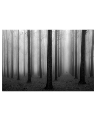 Tableau alu dibond nature foggy weather 50x30cm