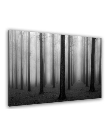 Tableau nature foggy weather toile imprimée 120x80cm