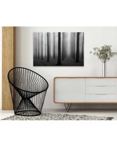 Tableau nature foggy weather toile imprimée 120x80cm