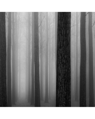 Tableau nature foggy weather toile imprimée 80x50cm