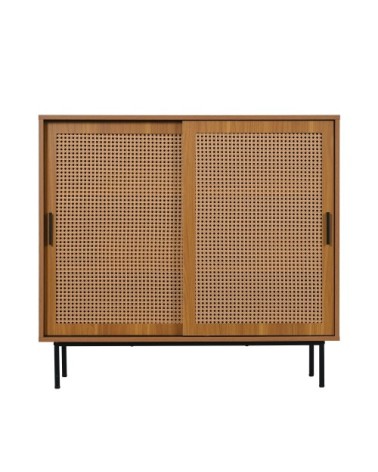 Meuble de Rangement en Bois avec Porte en Canage