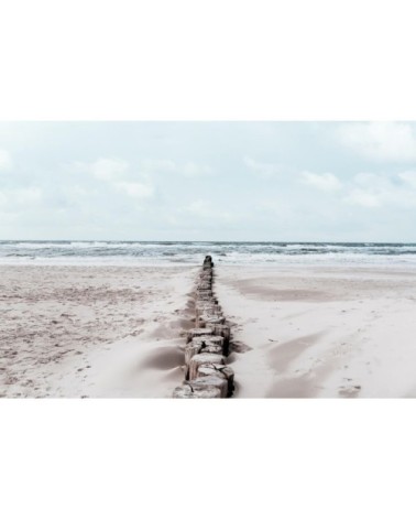 Tableau sur toile chemin de tronc 45x65cm