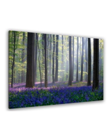 Tableau nature jacinthes et sous-bois toile imprimée 120x80cm