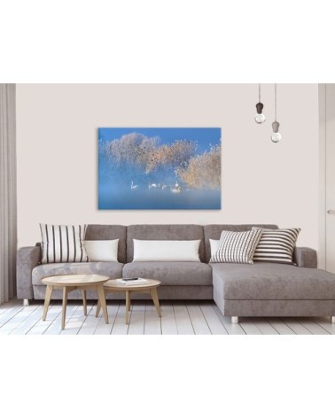 Tableau cygnes dans le givre matinal toile imprimée 50x30cm