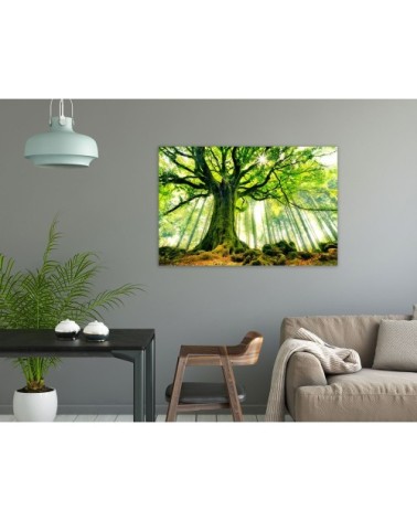 Tableau plexiglas nature l'hêtre de ponthus 80x50cm
