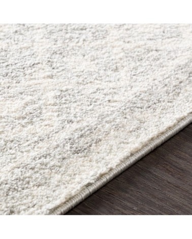 Tapis Scandinave Bohème - Gris et Blanc - 200x275cm