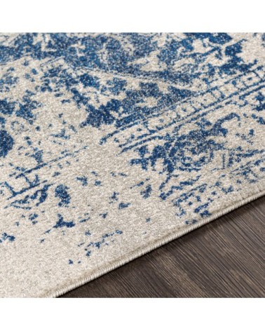 Tapis Vintage Oriental - Bleu et Beige - 160x220cm