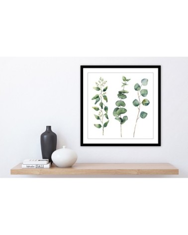 Affiche aquarelle eucalyptus 30x30cm
