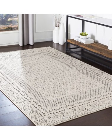 Tapis Scandinave Bohème - Gris et Beige - 160x220cm