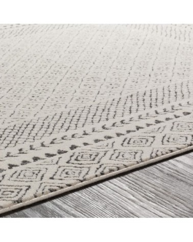 Tapis Scandinave Bohème - Gris et Beige - 160x220cm