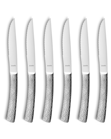 Coffret 6 couteaux steaks