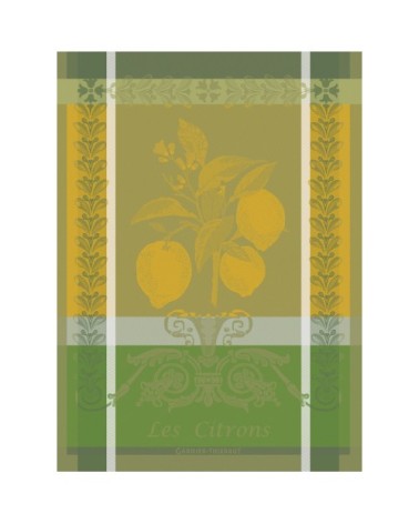 Torchon  pur coton vert 56x77