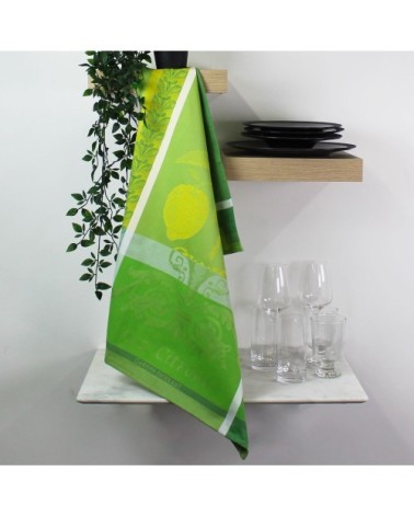 Torchon  pur coton vert 56x77