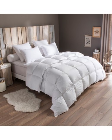 Couette Tradition CHAUDE - 70% Duvet d'Oie 220x240 cm - DODO