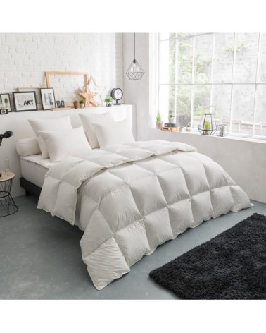 Couette Thermoduv TEMPEREE - 70% Duvet d'Oie 200x200 cm - DODO