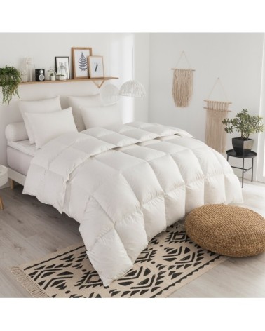 Couette duvet Tradition TEMPEREE - 70% Duvet d'Oie 240x260 cm - DODO