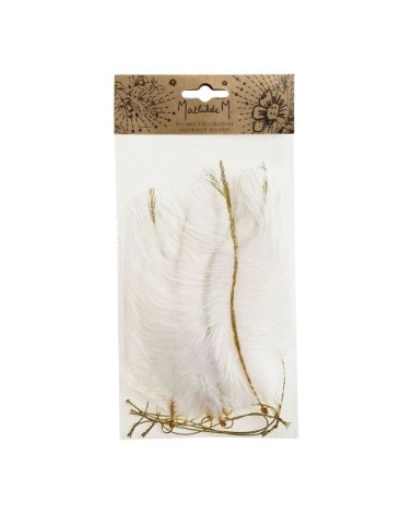 Sachet de 6 plumes décoratives à suspendre