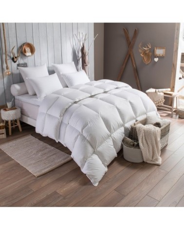 Couette duvet Tradition CHAUDE - 90% Duvet d'Oie 200x200 cm - DODO