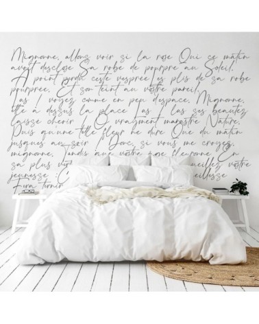 Papier Peint Panoramique L432xH270cm Noir