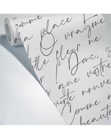 Papier Peint Panoramique L432xH270cm Noir