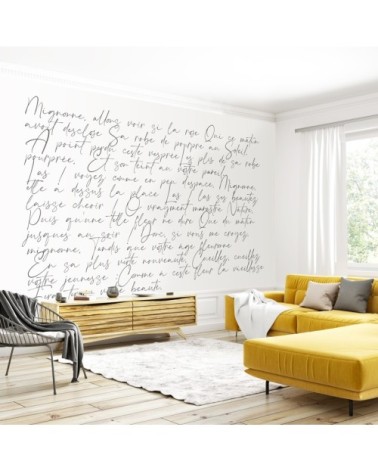 Papier Peint Panoramique L432xH270cm Noir