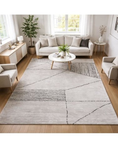 Tapis salon tufté main motif géométrique, gris 160x230