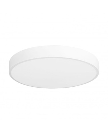 Plafonnier d'extérieur LED Lumière Neutre 4000K Blanc Acier 60cm