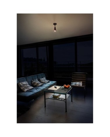 Spot Single Modern Style Acier Marron 8x8x8 CM