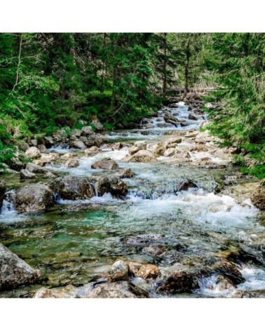 Tableau sur toile rivière dans la forêt 45x45cm
