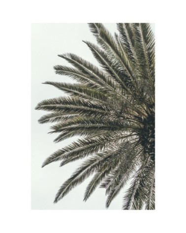 Tableau sur toile demi-palmier 30x45cm