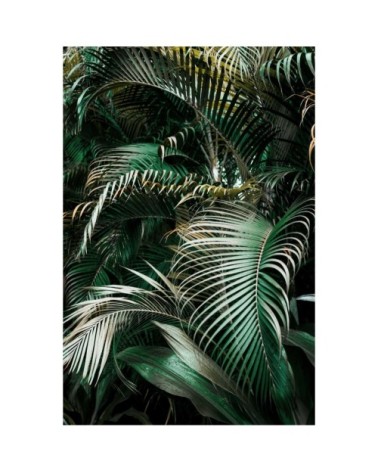 Tableau sur toile palmier vert 45x65cm