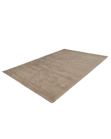 Tapis moderne fait main en Viscose Taupe 160x230 cm