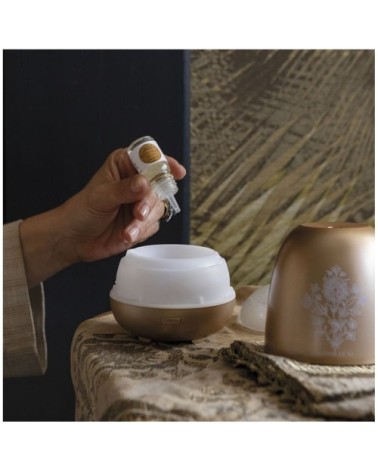 Diffuseur électrique de brume parfumée classique 60 ml