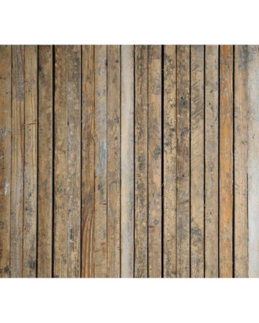 Papier peint panoramique 300x270 cm