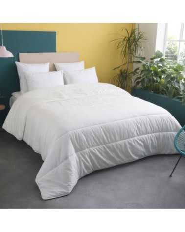 Couette CHAUDE Extra Gonflante - Coton Bio  200x200 cm - Wake Me Green