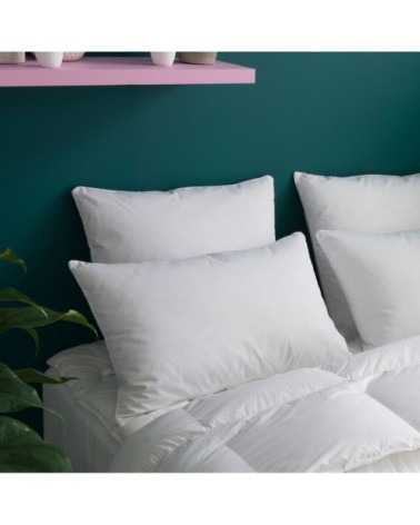 Oreiller MEDIUM 30% Duvet Anti-acariens - Coton Bio  65x65 cm - Wake M