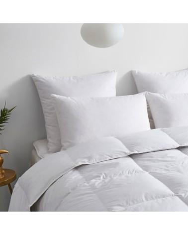 Oreiller FERME 10% Duvet Anti-acariens - Coton Bio  65x65 cm - Wake Me