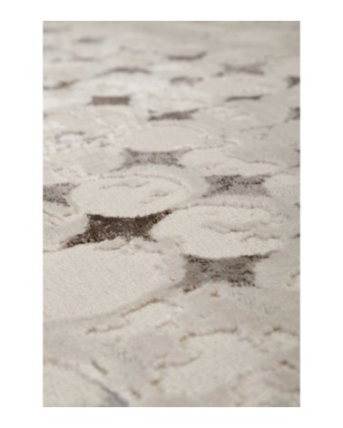 Tapis vintage relief beige/marron/gris pour salon, chambre 290x200