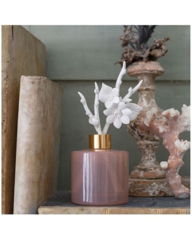 Diffuseur parfum d'ambiance 150 ml