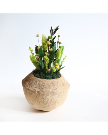 De?coration fleurs se?che?es noix de sapucaja forêt