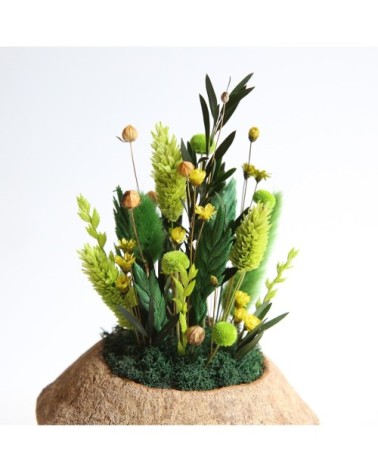 De?coration fleurs se?che?es noix de sapucaja forêt