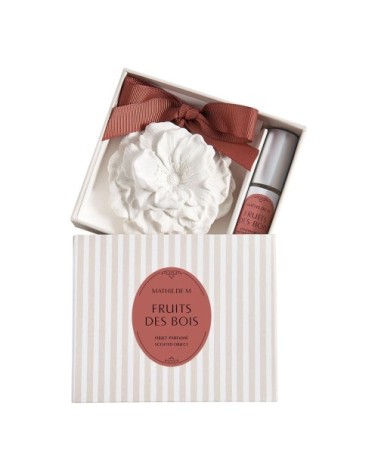Décor parfumé et concentré de parfum