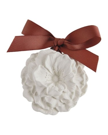Décor parfumé et concentré de parfum