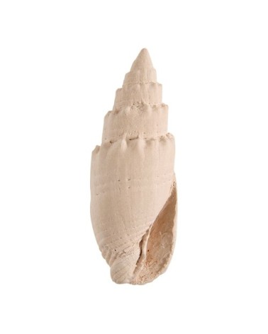Cabas coffret parfum d'ambiance 30 ml et décors parfumés